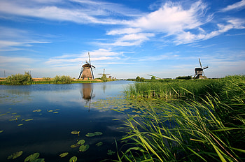 Nature, Rivers, Vegetation, Reeds, Mill, Holland, Mills HD wallpaper