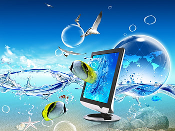 Background, Art , Seagulls, Fishes HD wallpaper