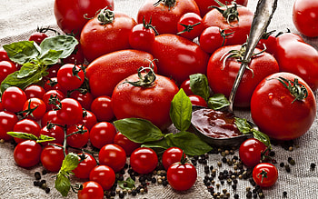Tomatoes, vegetable, tomato, food, red HD wallpaper