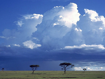 Storm Over the Savannah, blue , abstract, fantasy, entertainment, other, nature HD wallpaper