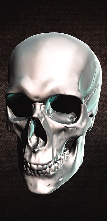 Skull, Head, Kafa HD phone wallpaper