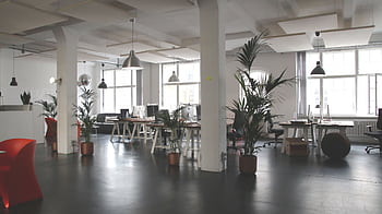 Spacious modern office interior with desks, plants, and natural lighting in Berlin. HD wallpaper