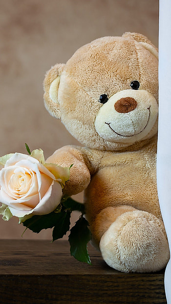 Teddy Bear, flower HD phone wallpaper