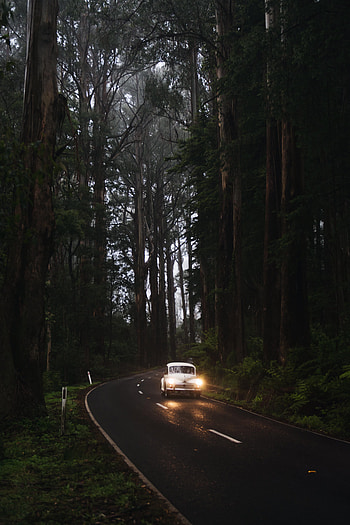 Trees, Cars, Lights, Road, Car, Glow, Headlights, Retro HD phone wallpaper