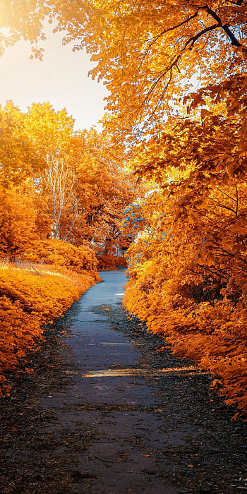 Pathway, Parks HD phone wallpaper