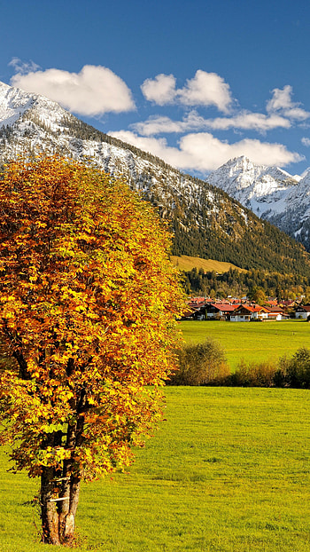 Allgau, Autumn HD phone wallpaper