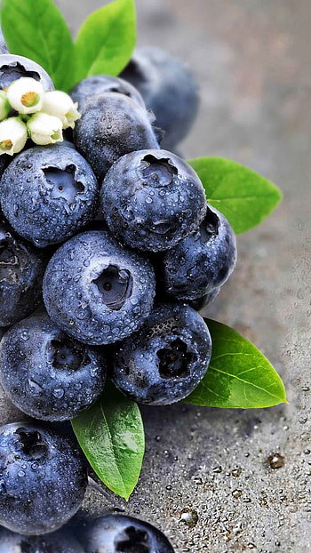Food, Fruit graphy, Android smart HD phone wallpaper