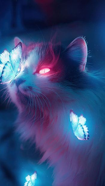 Cat, Best furry friends, Meow-tastic moments, Paws-itive vibes HD phone wallpaper