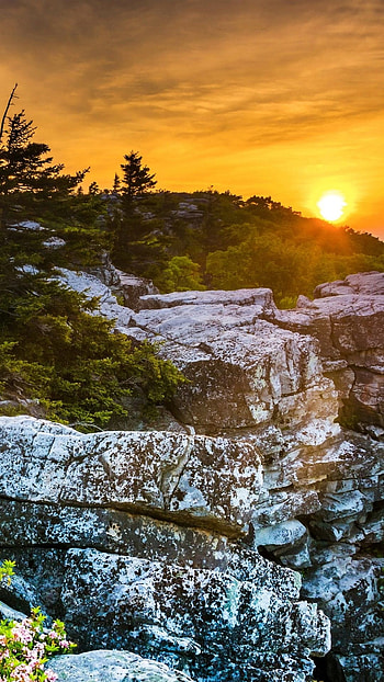 Virginia , Top , State pride, Vibrant backgrounds HD phone wallpaper
