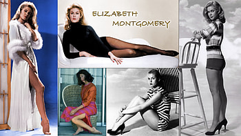 Actress Elizabeth Montgomery, feet, Bewitched, Elizabeth Montgomery, legs HD wallpaper