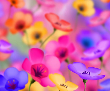 Misty Bright, blue, colorful, soft, misty, orange, vivid, bright, yellow, flowers, pink purple HD wallpaper