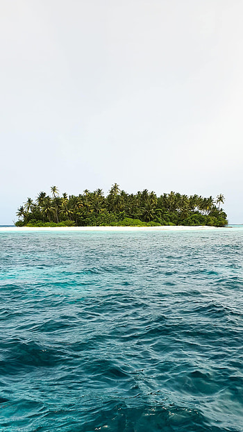 Nature, Sky, Sea, Waves, Palms, Island HD phone wallpaper