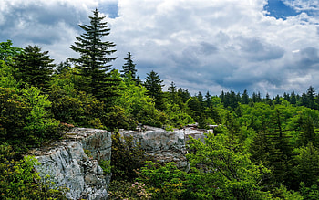 Spring in the spruce forests, West Virginia Highlands, clouds, trees, sky, usa HD wallpaper