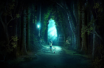 I'm Going Home, path, ladder, cat, girl, light, magical, trees, lantern, forest HD wallpaper