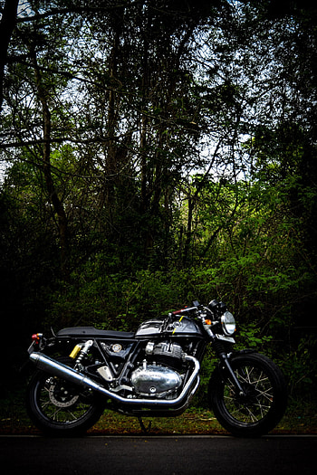 GT 650 TWIN, Caferacer, TWIN650, Twin_Xplorer, Royalenfield, plant, intothewild, Continentalgt650, GTTWIN, Bikers, GT650 HD phone wallpaper