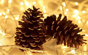 Pine cones amongst fairy lights, Festive atmosphere, Rustic decorations, inspiration HD wallpaper
