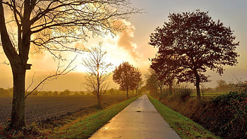 Autumn Sunset, leaves, fall, clouds, trees, colors, road, sky HD wallpaper