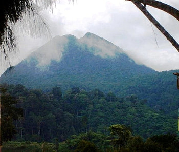 Mt. Matutum, volcano, nature, forest, mountain HD wallpaper