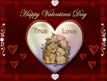 True Love, hearts, valentines, day, red HD wallpaper