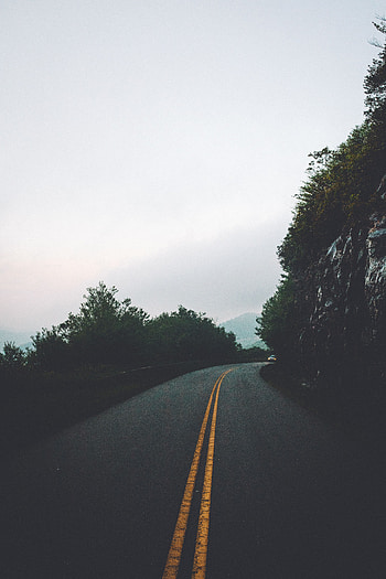 Nature, Trees, Sky, Road, Turn, Markup HD phone wallpaper