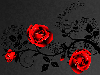 Rose, Roses, Music, Red Roses, Black and White HD wallpaper