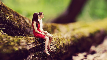 Couple in the tree, couple, big, love, tree HD wallpaper