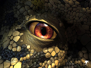 WWD EYE, colored, wwd, amber, creature, eye HD wallpaper