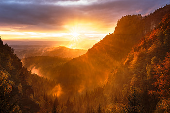 Forest Valley Day Starting Calming Sunrise , sunrise, sunset, forest, nature HD wallpaper