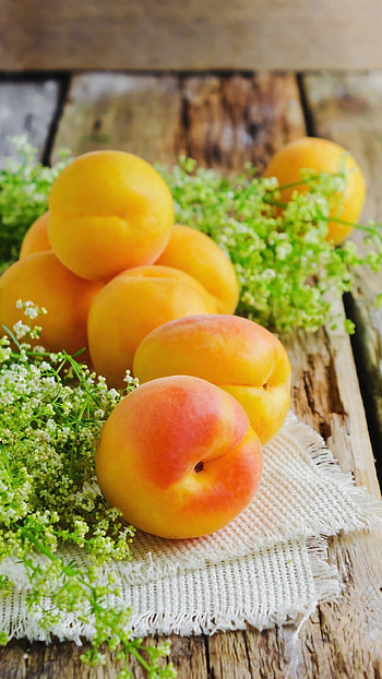 Apricot, Delicious and nutritious, Freshly picked, Succulent flesh HD phone wallpaper