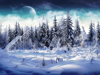 Fantasy, Moon, Snow, Forest, Fog, Drifts, Ate HD wallpaper