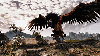 Griffins, Mythical creatures, Eagle-like creatures, Ryan Thompson HD wallpaper