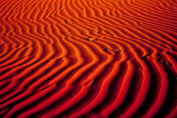 Algeria, desert, sand, marks HD wallpaper