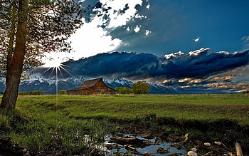 Nature, Sun, Clouds, Shine, Light, Wood, Beams, Rays, Tree, House, Field, Shadows HD wallpaper