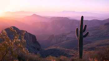 Quad : Saguaro Sunset Over Canyon Peaks, Canyon, Mountain, Cactus HD wallpaper