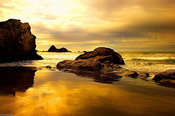 Golden Landscape, golden, coastline, skies, coast, landscape, water, ocean, beach HD wallpaper
