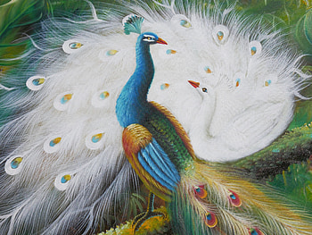 Peacocks, white, bird, art, green, pictura, couple, peacock, pasari, painting HD wallpaper