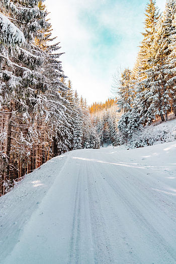 Winter, Nature, Sky, Snow, Road, Forest, Winter Landscape HD phone wallpaper