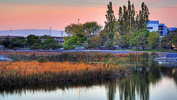 Cities, Rivers, Trees, Sunset, Grass, Sky, Building HD wallpaper