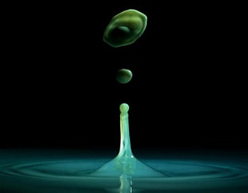 water drop, drop, black, water, green HD wallpaper