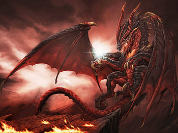 Beautiful dragon HD wallpaper