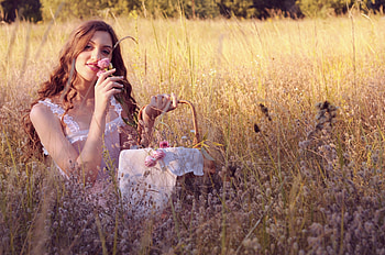 Sweet Scent of Summer, basket, field, flower, trees, women, beauty HD wallpaper