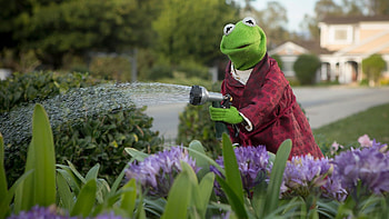 Kermit the Frog, Playful Persona, Quirky Charm, Lovable Amphibian HD wallpaper