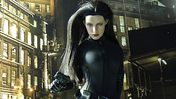 Comics, Catwoman HD wallpaper