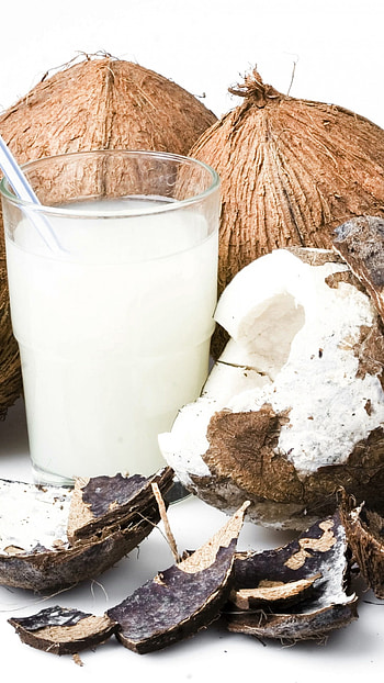 Coconut milk refreshment, Tropical flavor, Exotic indulgence, Creamy delight HD phone wallpaper