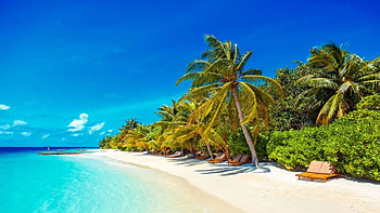 Maldives Beach, blue, sea, sand, palm trees, sky HD wallpaper