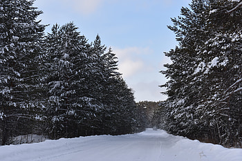 Winter, road, snow layer, nature HD wallpaper