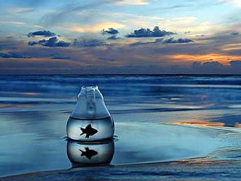 Let me Go, cool, beautiful HD wallpaper