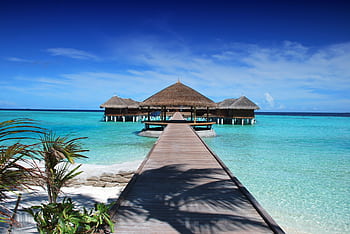 Scenic view of a wooden boardwalk leading to serene overwater bungalows at an island resort. HD wallpaper