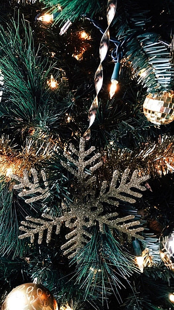 Christmas Aesthetic, Christmas Tree Aesthetic HD phone wallpaper