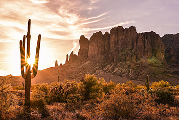 Saguaro National Park, Arizona HD wallpaper